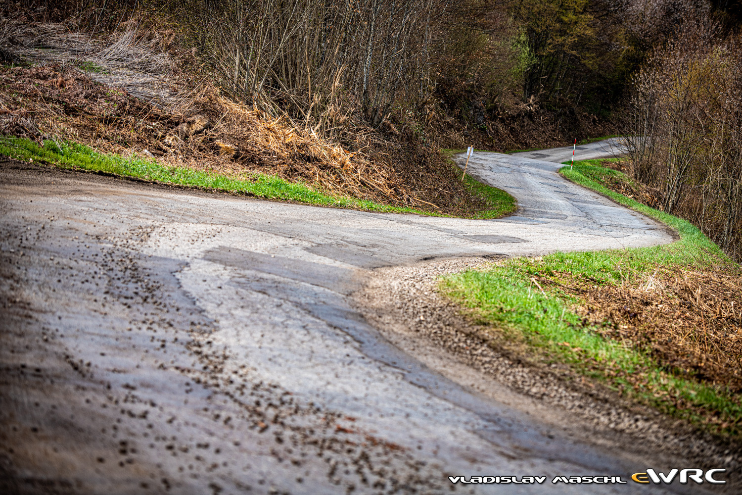 MSPORTERS - WRC: 46º Croatia Rally [22-25 Abril] - Página 2 Vms_dsc_0572
